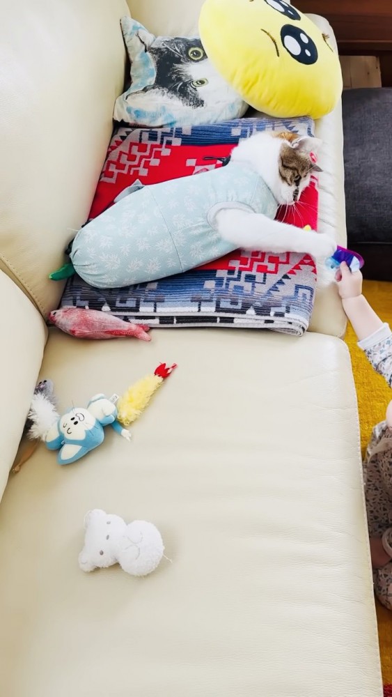 おもちゃを譲るキジ白猫とおもちゃを掴む赤ちゃん