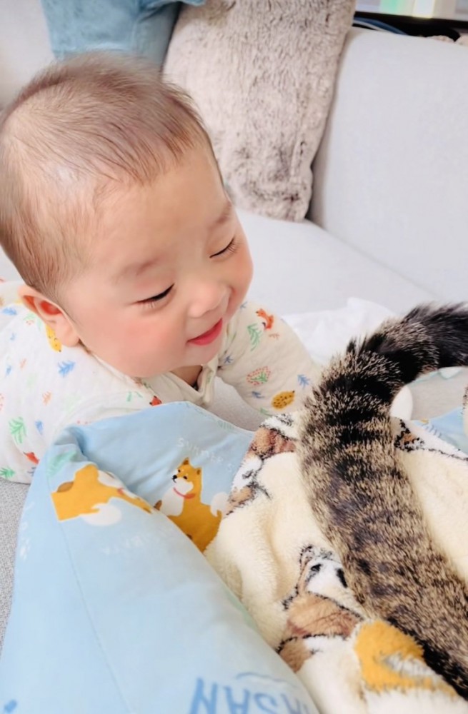 赤ちゃんを尻尾であやすキジトラ猫