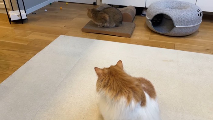 後ろを向くふたり