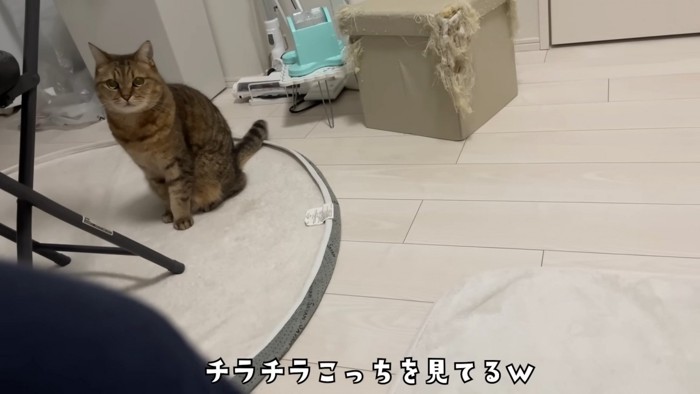 チラチラ見るみにらくん