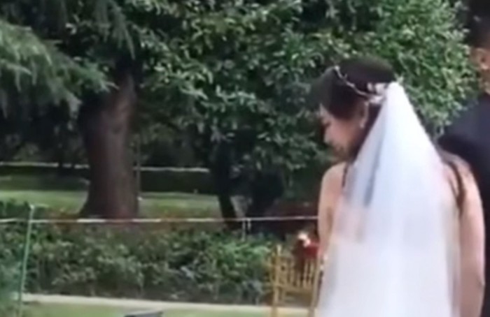 猫を見て微笑む花嫁