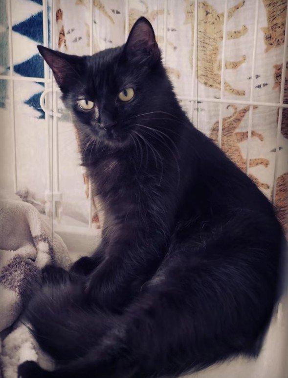 座っているアルバくん