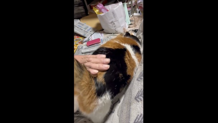 おしりをポンポン