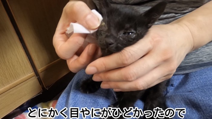 「とにかく目やにが...」のテロップ写真