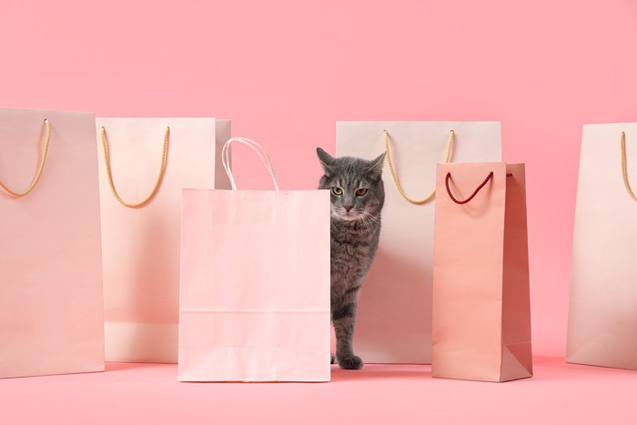 カラフルなたくさんの紙袋と猫