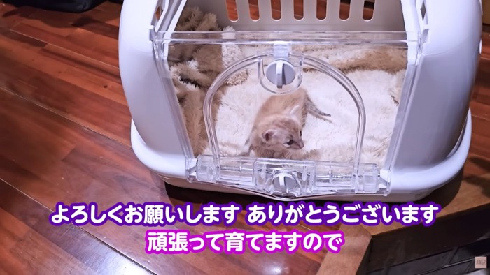 テロップ「よろしくお願いします~」