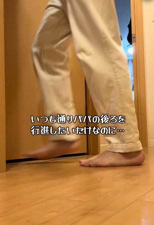 廊下を歩いているパパさんの足元