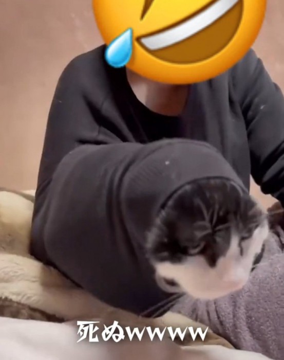 投稿主さんのお姉さんの袖に入る猫