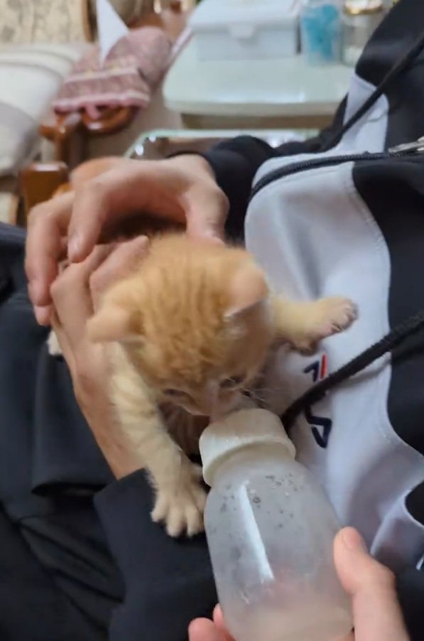 哺乳瓶を噛み続けるチャッピーくん