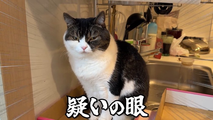 疑いの眼