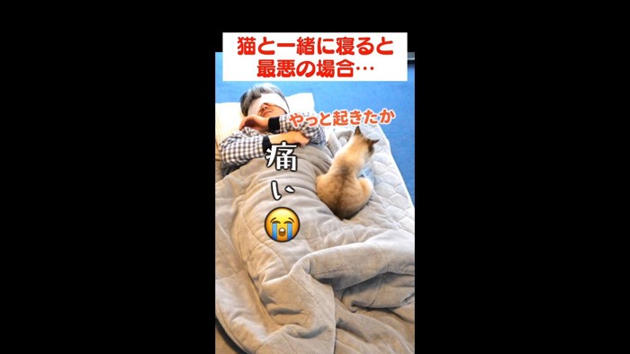 やっと起きたか