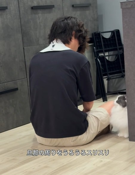 男性の後ろ姿と近くに座っている猫