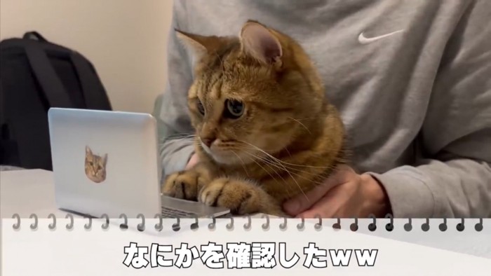 なにかを確認したみにらくん