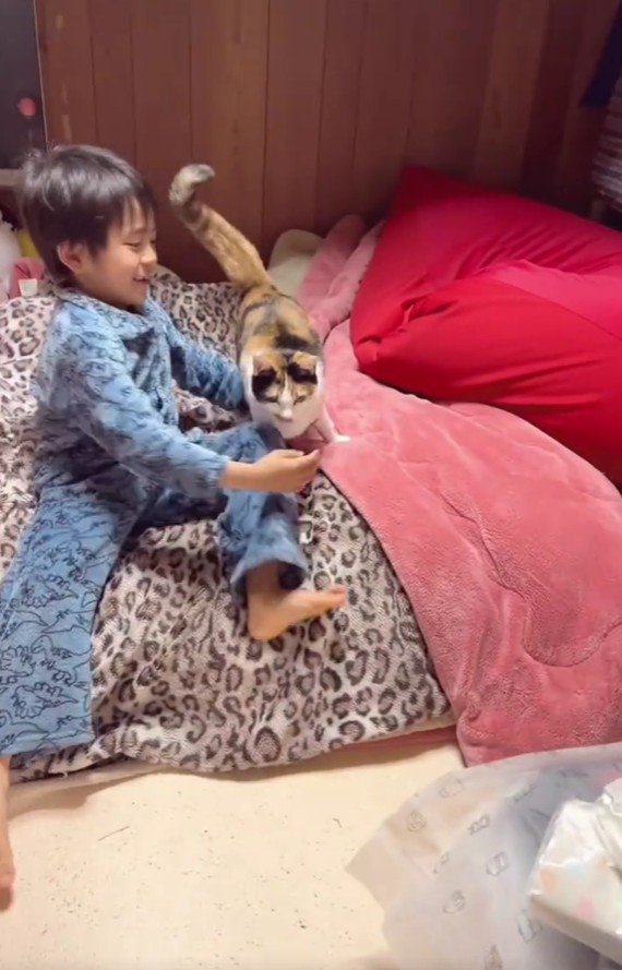 ベッドの上の男の子と猫