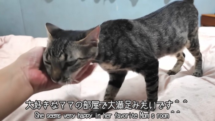 「大好きなママの部屋で大満足みたいです」