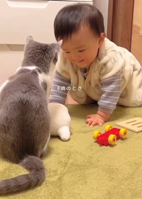 向かい合う赤ちゃんと猫