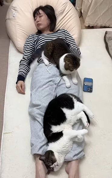 眠っているママの上でくつろいでいる猫