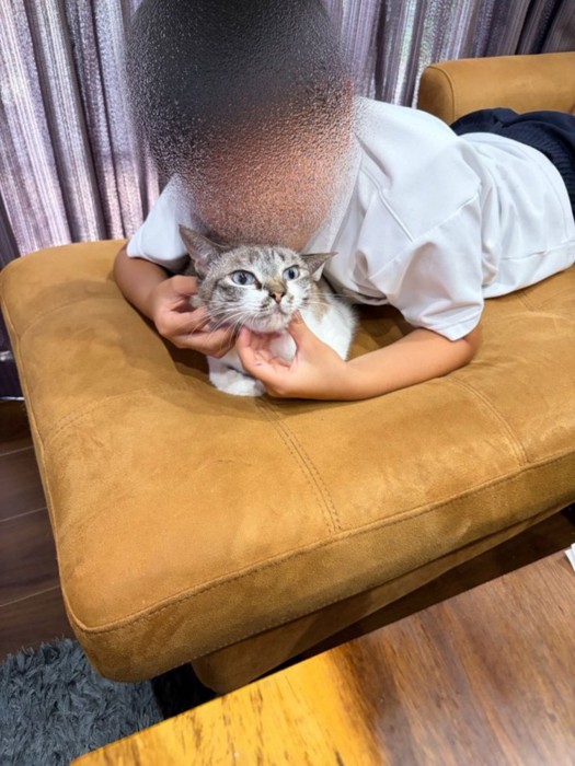 子供に抱かれた猫