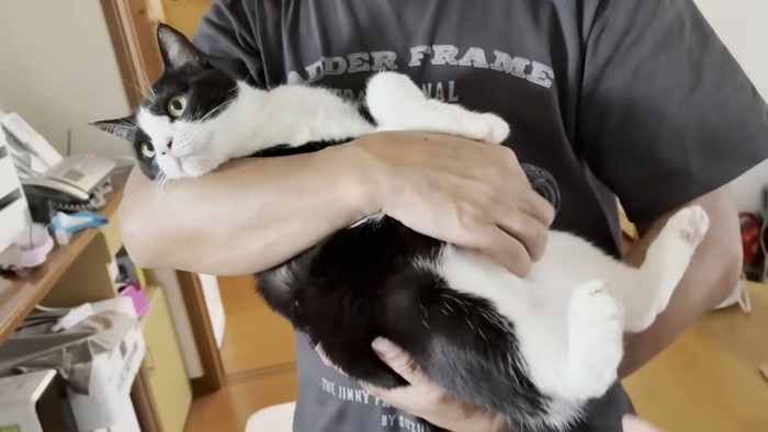 左上を見る猫ちゃん