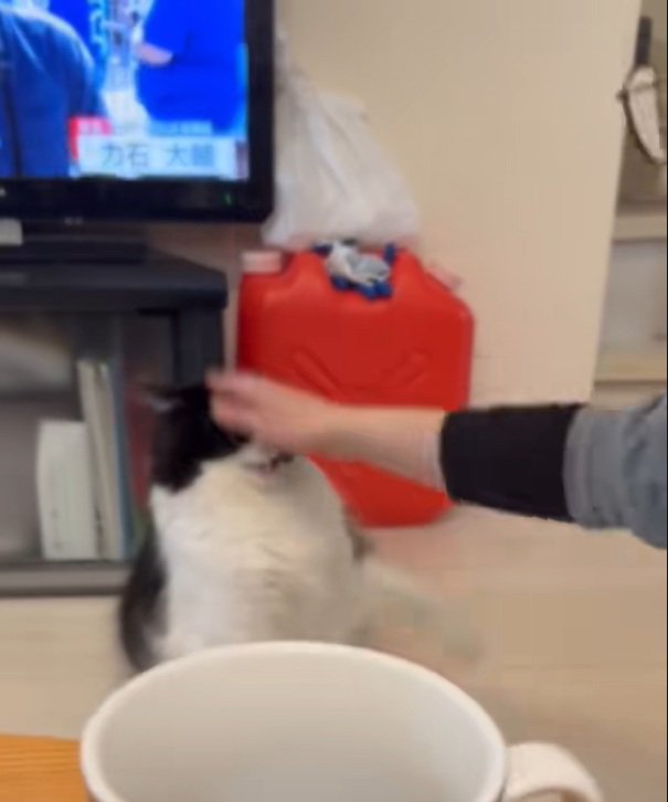 頭を叩かれるオレオくん