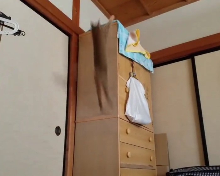 ジャンプするリラちゃん