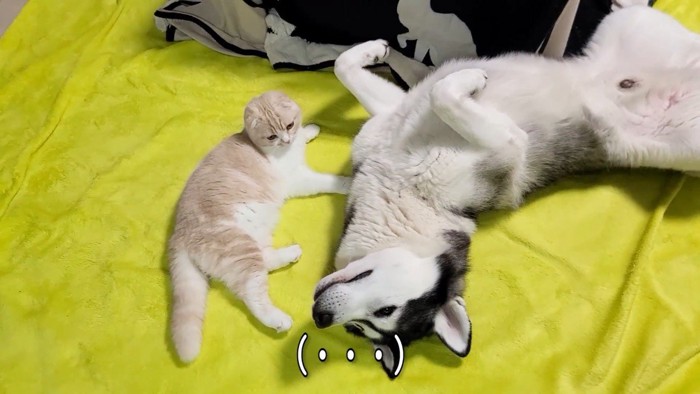 寝転ぶふたり