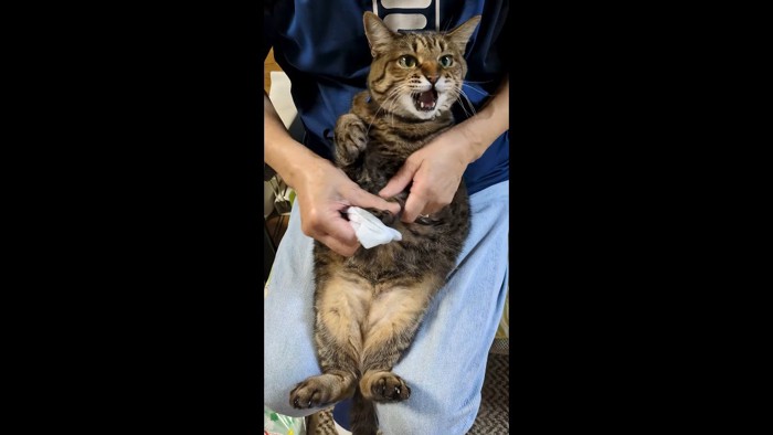 足を揃えて口を開けた姿