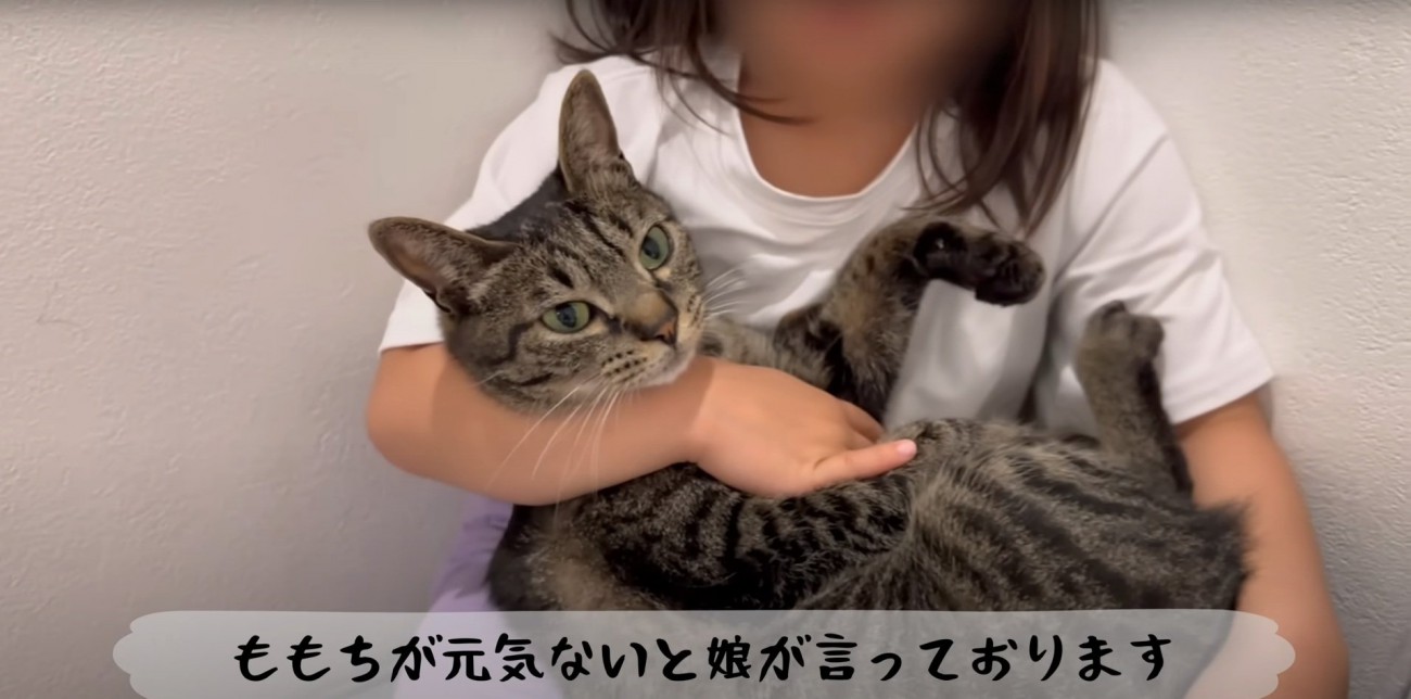 抱っこされるももまるちゃん