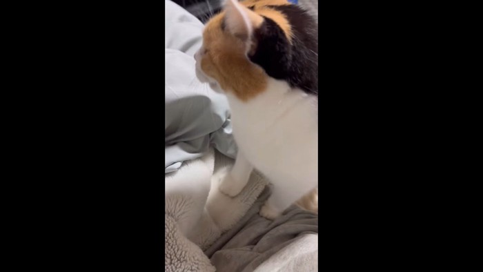 体の上に座って