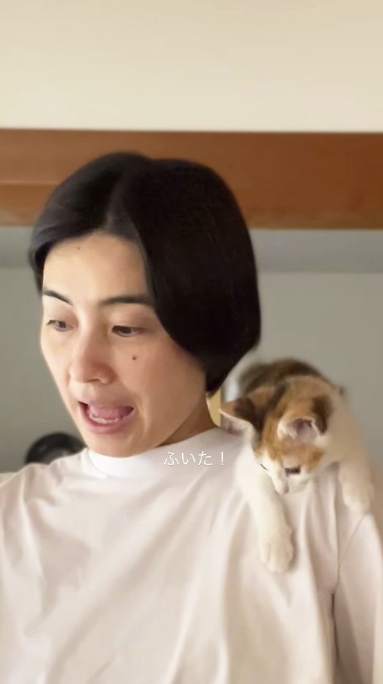 女性の視線の向いている方へ目を向ける子猫