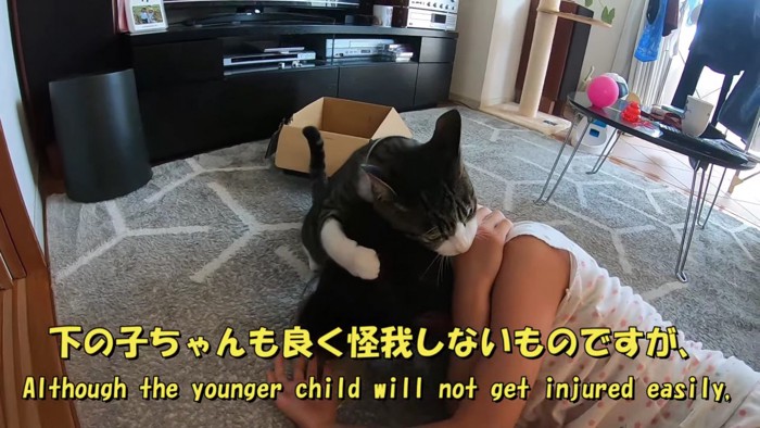 女の子の手を噛む猫
