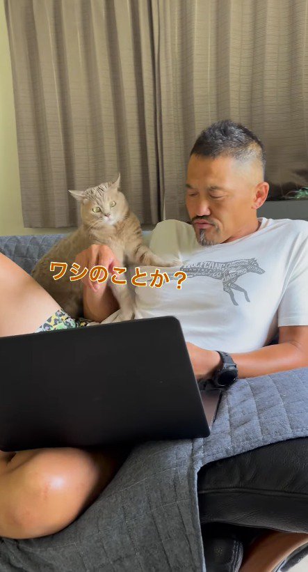 男性の言葉を聞いてカメラを見つめる猫