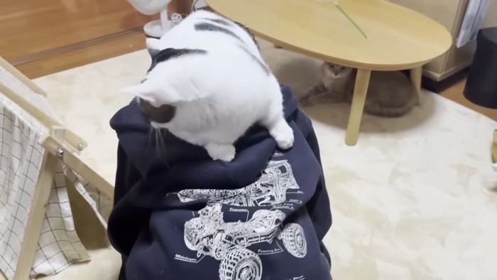 乗せたまま移動