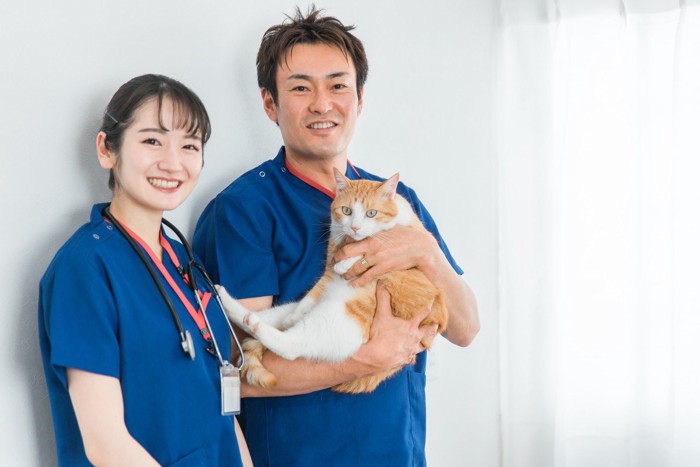 猫と獣医師