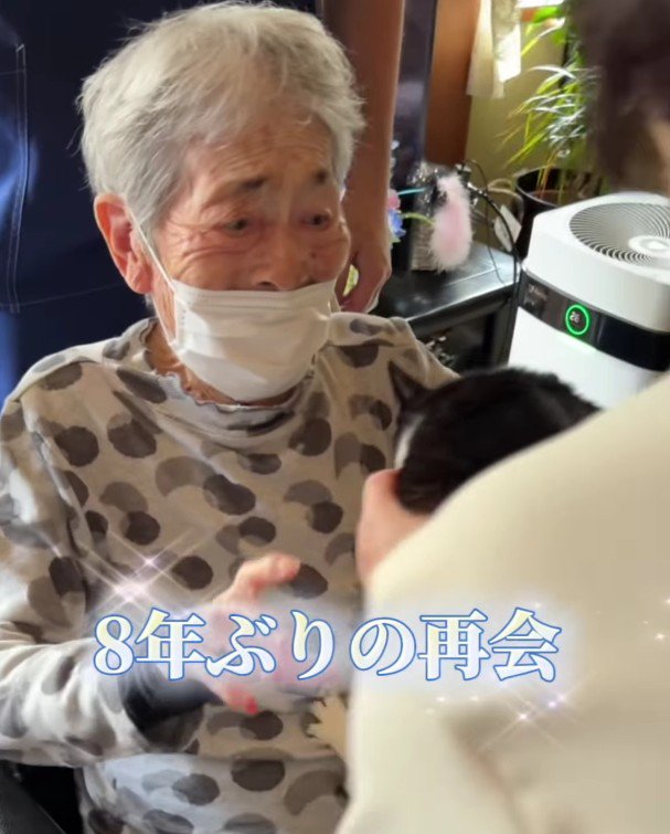 おばあちゃんと猫