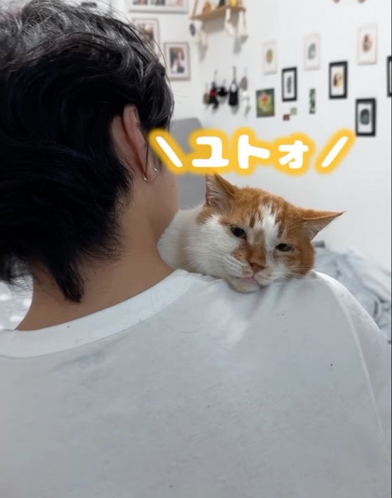 「ユトォ」とお返事