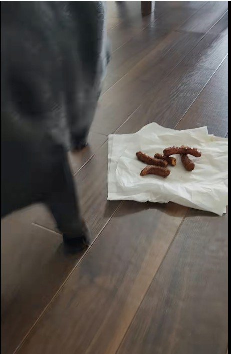 ティッシュの上に置かれたかりんとう