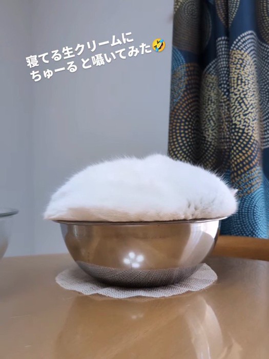 ボウルの中の白い塊