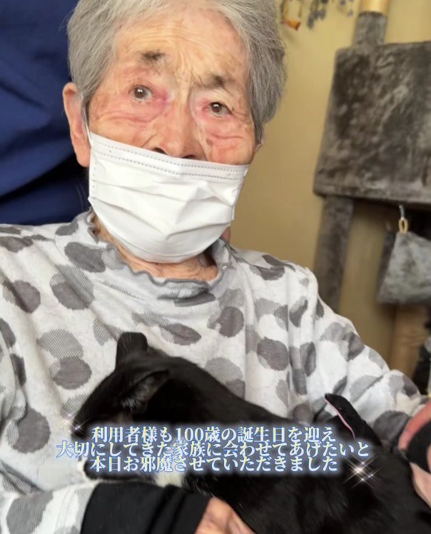 おばあちゃんと猫
