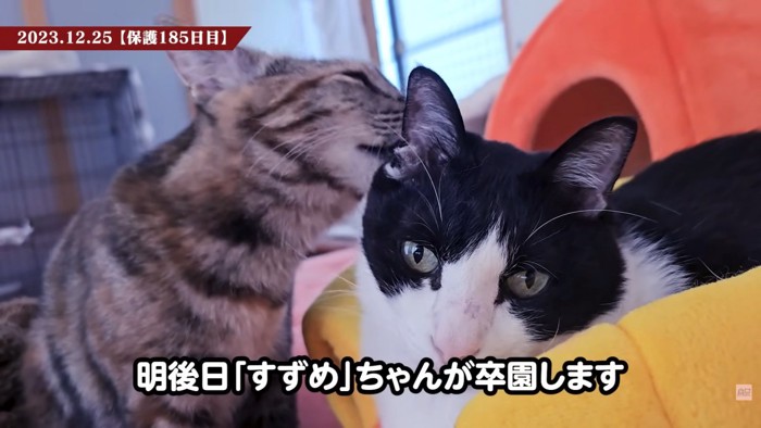 テロップ「明後日～」