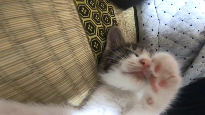 アップ