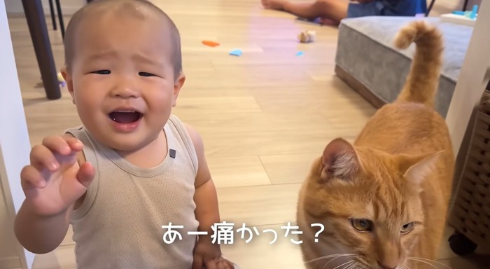 猫におやつをあげる赤ちゃん