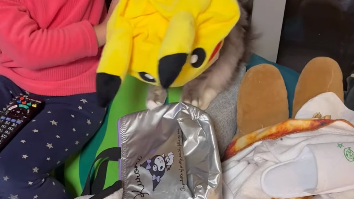 帽子をかぶらされるクウちゃん