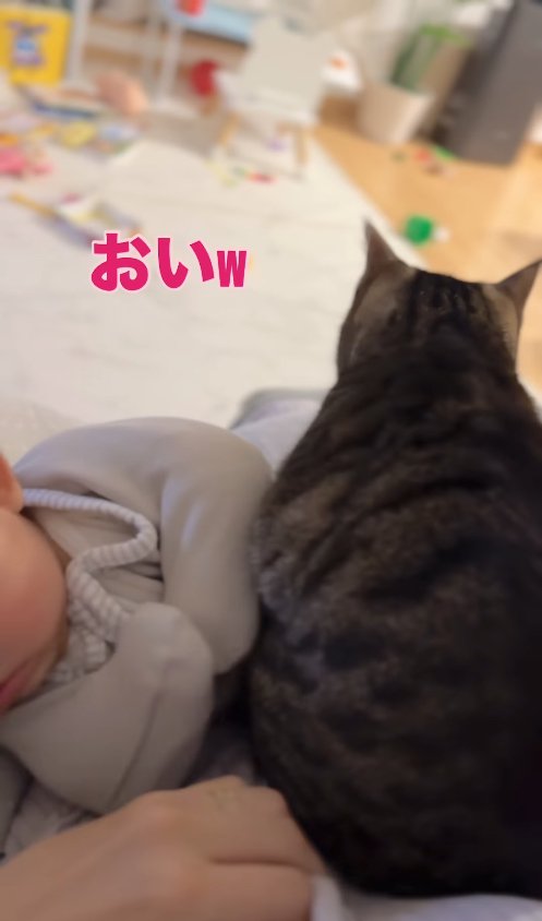 赤ちゃんの上で香箱座りする猫の後ろ姿