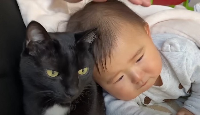 猫の体に頭を乗せる赤ちゃん