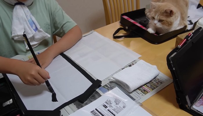 じっと見つめて