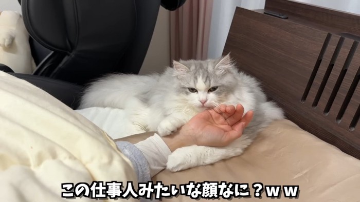 仕事人みたいな顔