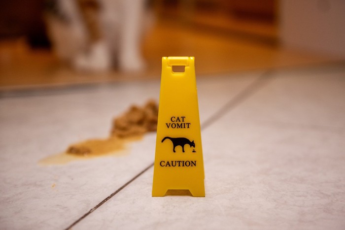 猫の嘔吐物