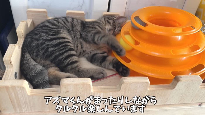 テロップ「アズマくんがまったりしながら～」