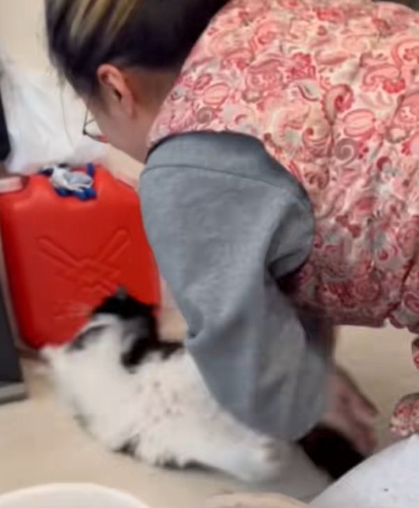 手も足も出ないオレオくん